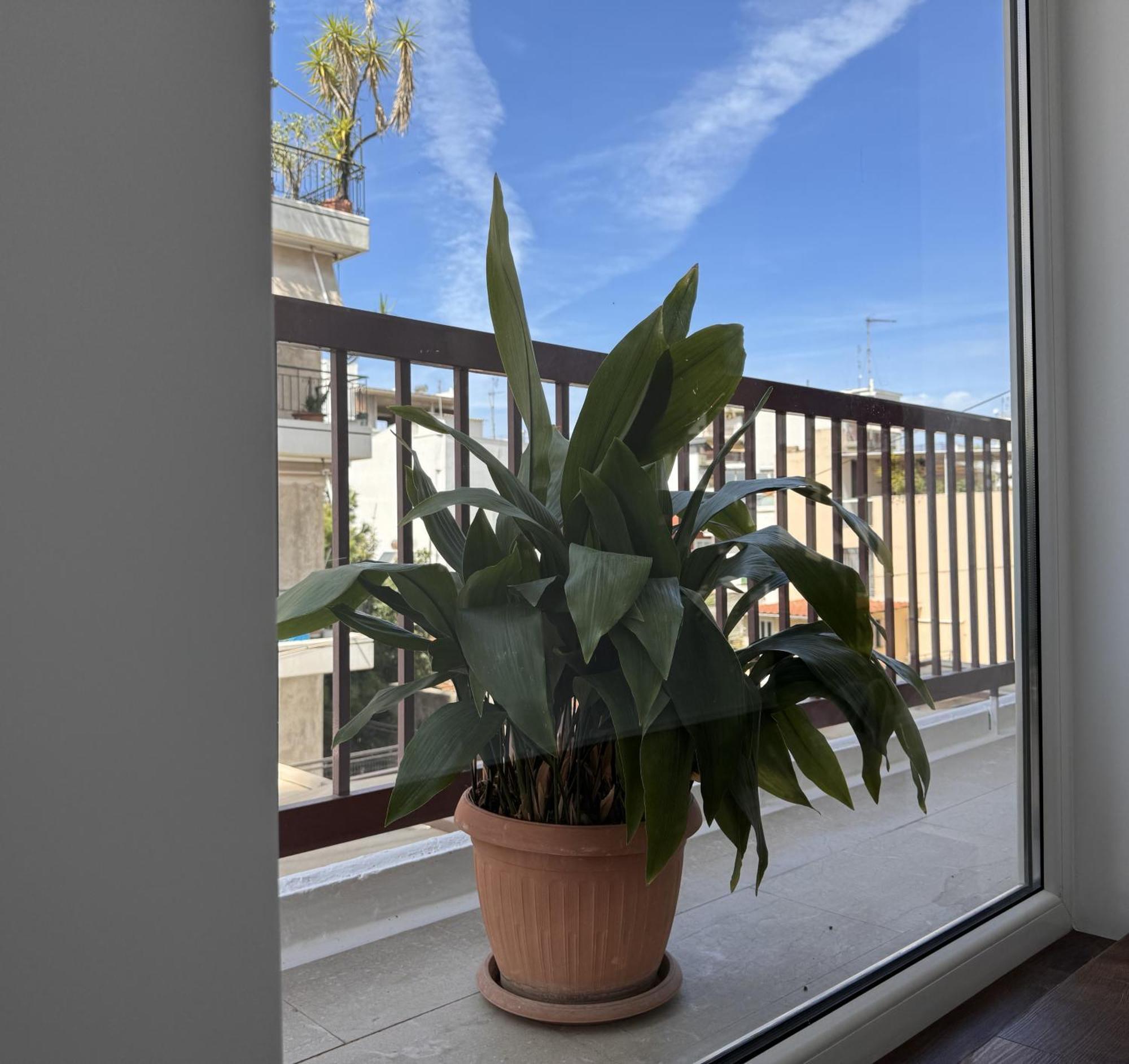 פאטרה Navaro Apartments מראה חיצוני תמונה